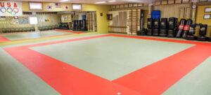 USA Martial Arts Bluff Park Dojo logo